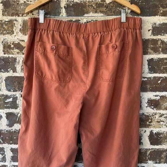 Talbots Soft Twill Cropped Drawstring Waist Pants Size 12 - Picture 4 of 6